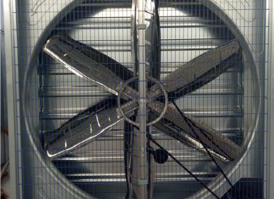 點(diǎn)擊查看詳細(xì)信息<br>標(biāo)題：Heavy Hammer Type Animal Husbandry Fan 閱讀次數(shù)：1545