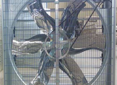 點(diǎn)擊查看詳細(xì)信息<br>標(biāo)題：Push Pull Negative Pressure Fan 閱讀次數(shù)：1445